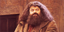 Ode to Rubeus Hagrid: The Fluffy, Ferocious, Friendliest of Characters
